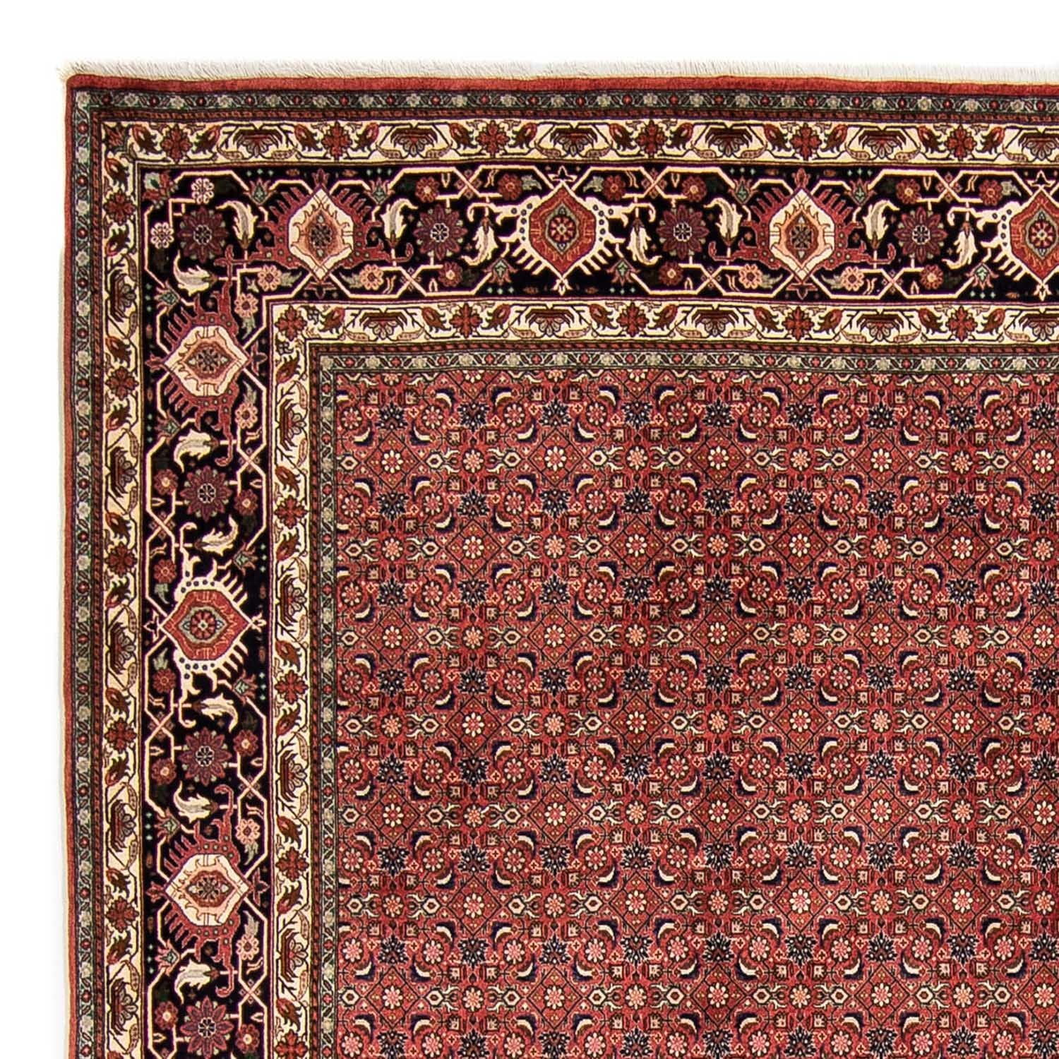 Alfombra persa - Bidjar - 316 x 252 cm - rojo