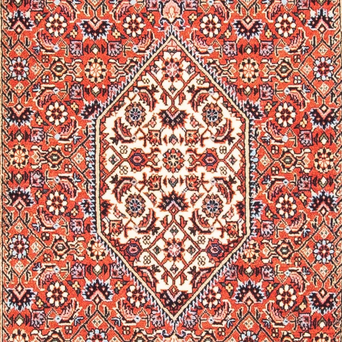 Alfombra persa - Bidjar - 150 x 84 cm - rojo