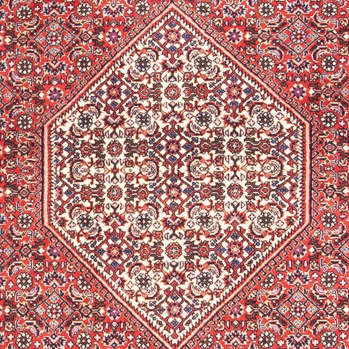 Alfombra persa - Bidjar - 154 x 87 cm - rojo