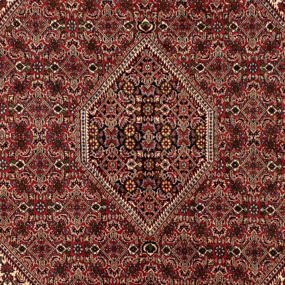 Alfombra persa - Bidjar - 251 x 173 cm - rojo oscuro