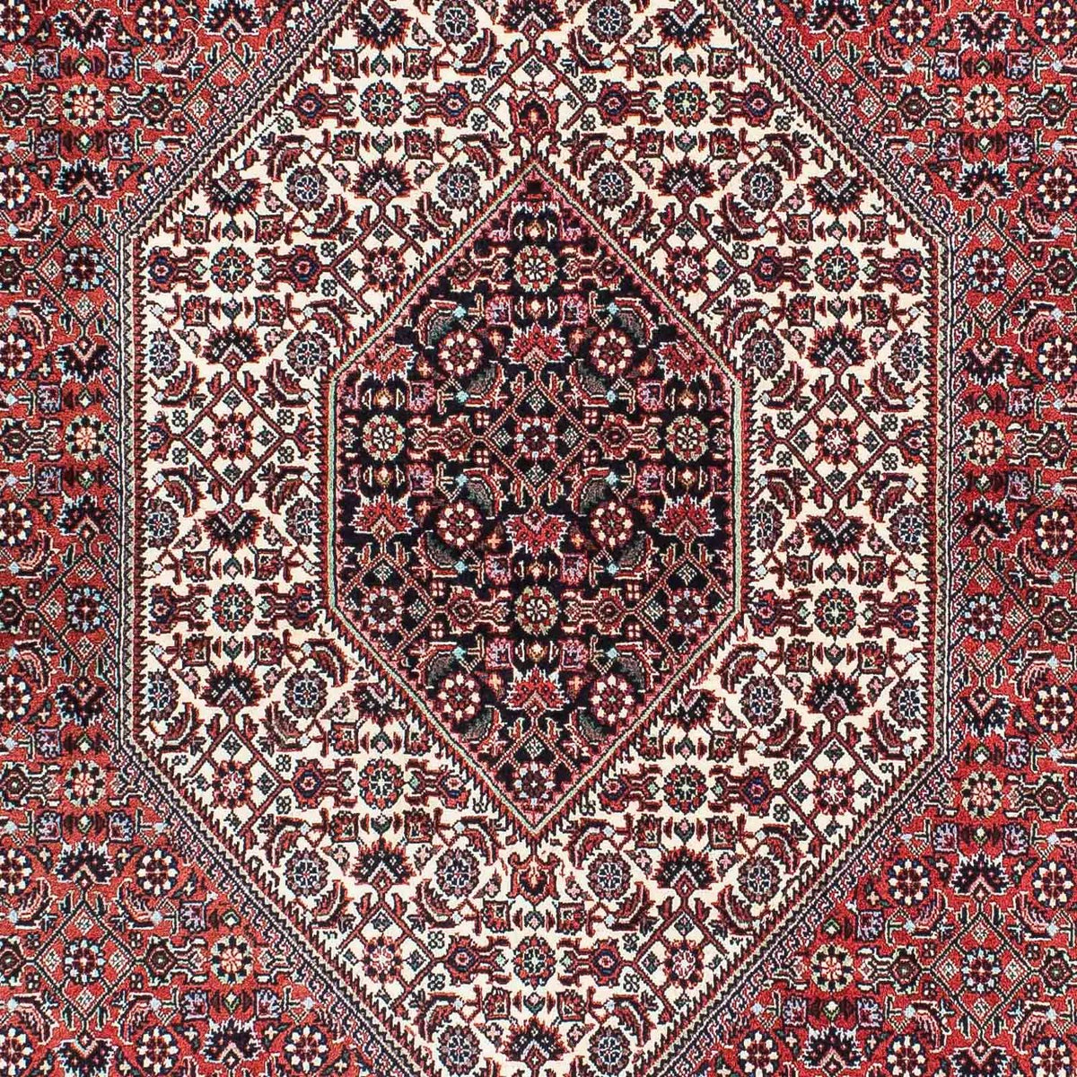 Alfombra persa - Bidjar - 214 x 127 cm - rojo claro