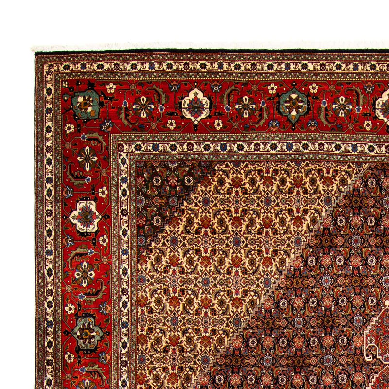 Alfombra persa - Tabriz - 415 x 308 cm - multicolor
