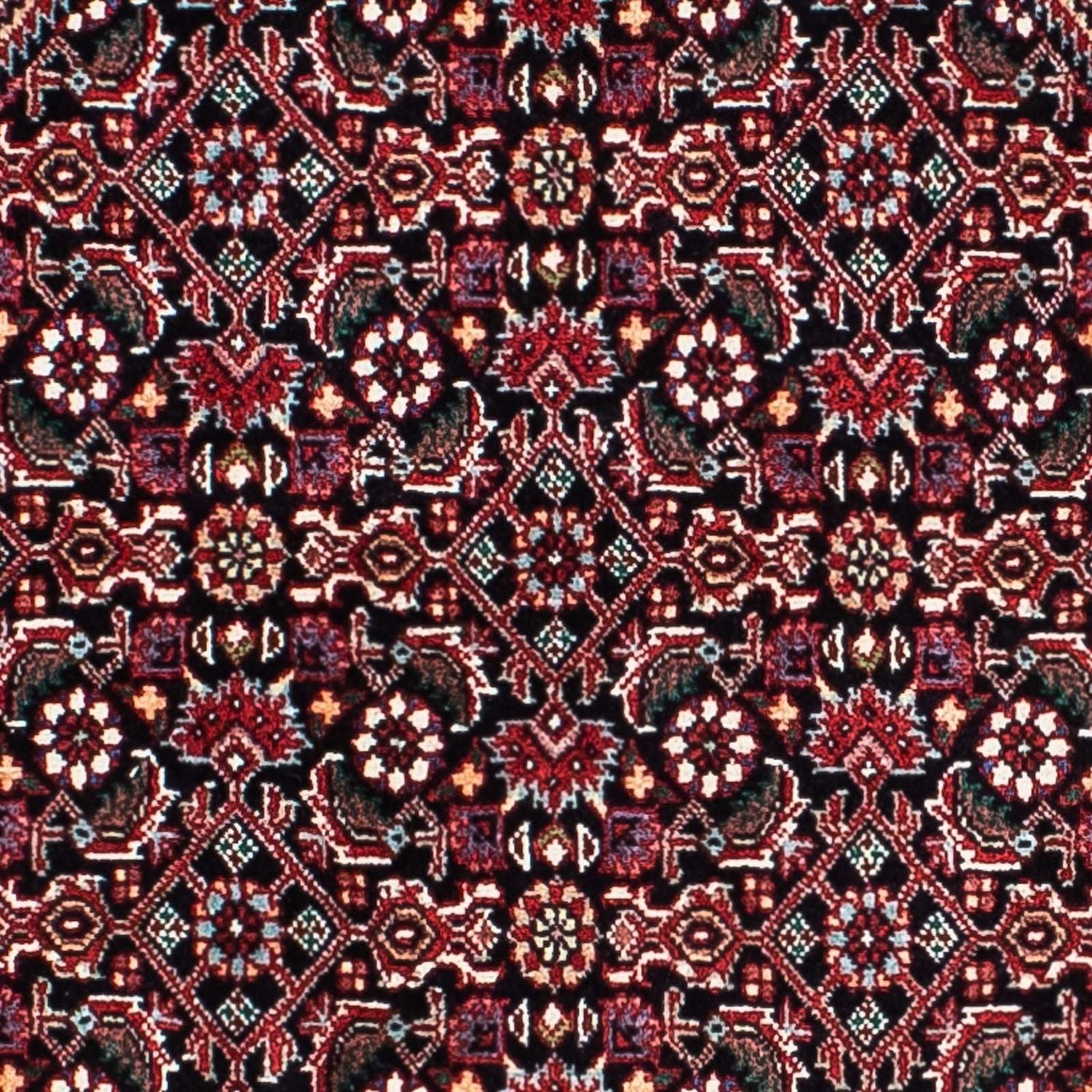 Alfombra persa - Bidjar - 210 x 134 cm - rojo claro