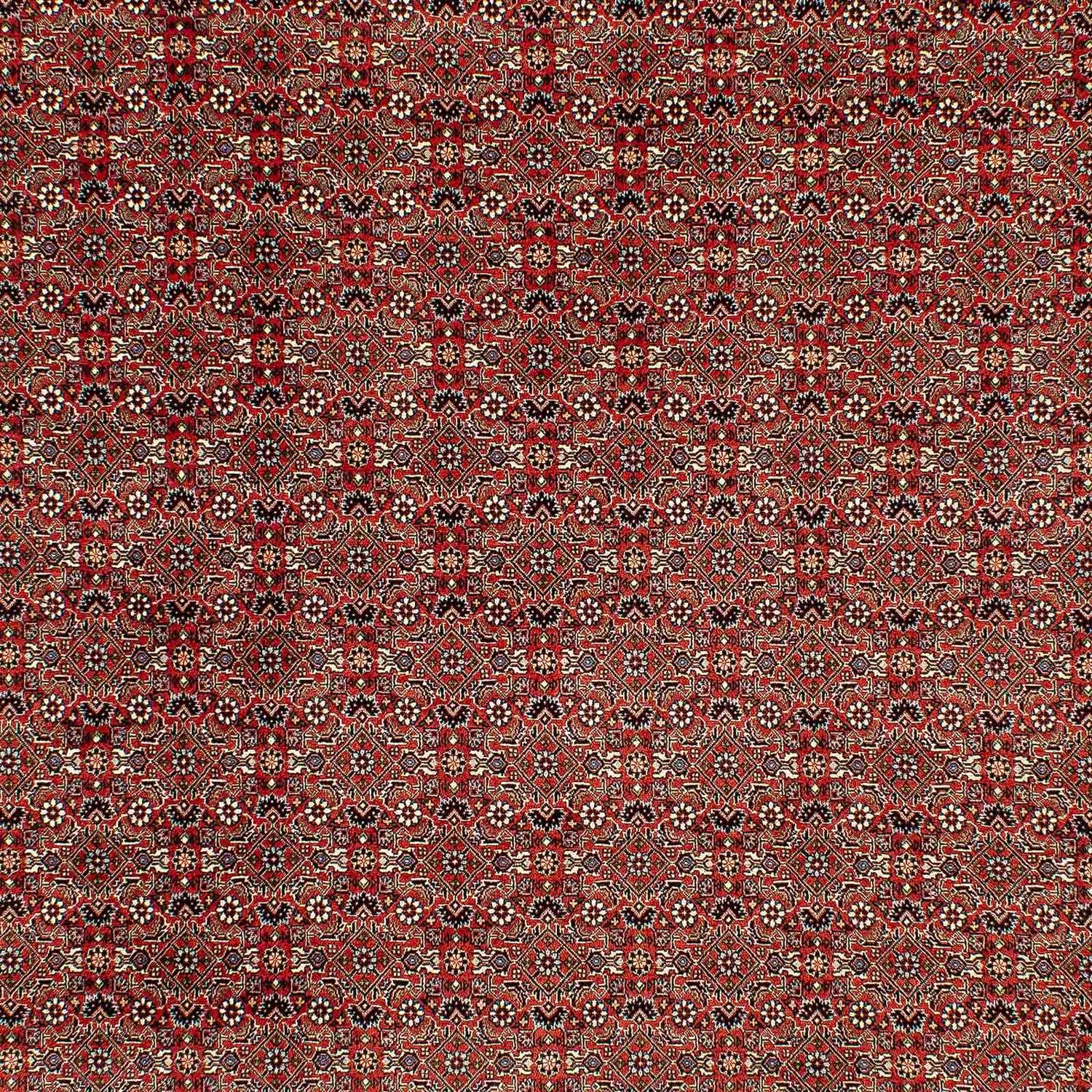 Alfombra persa - Bidjar - 300 x 206 cm - rojo claro