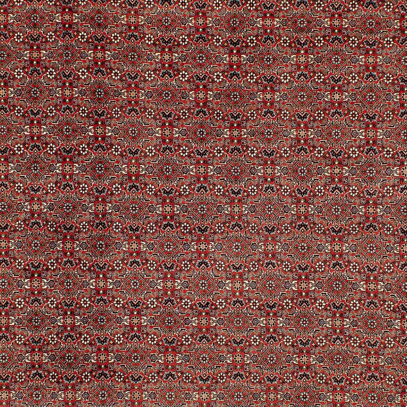Alfombra persa - Bidjar - 300 x 206 cm - rojo claro