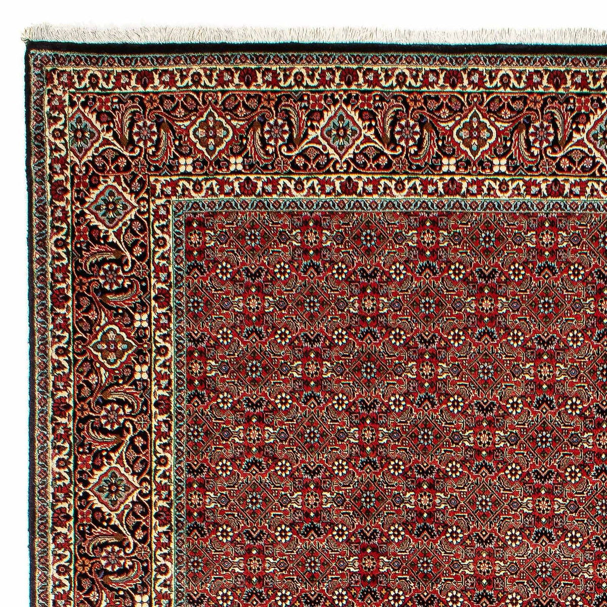 Bidjar Alfombra 206x300cm - Alfombra persa