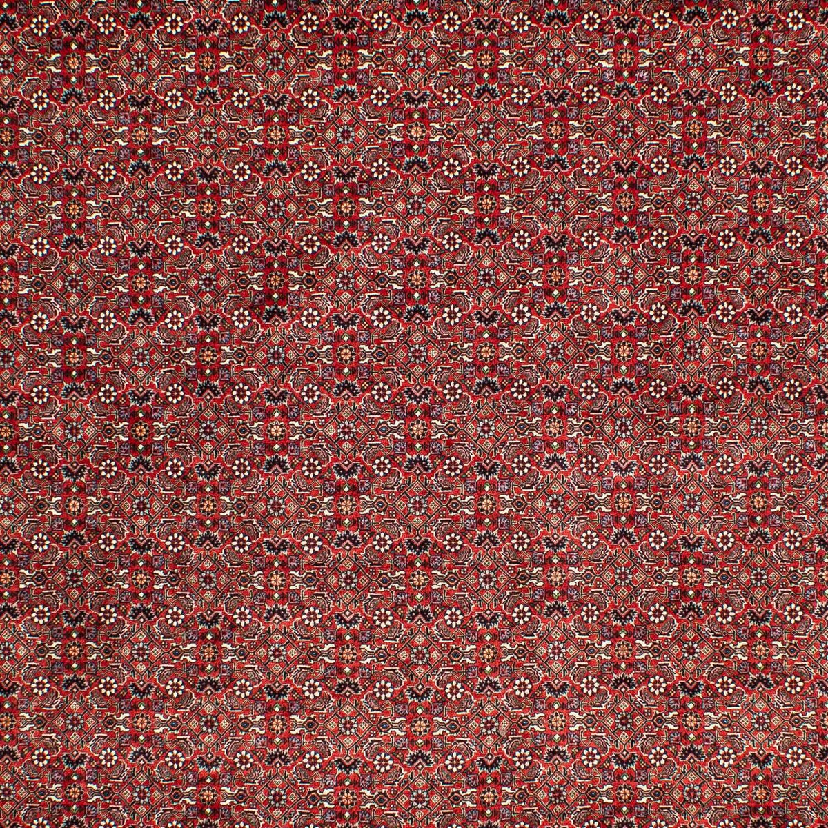 Alfombra persa - Bidjar - 302 x 210 cm - rojo oscuro