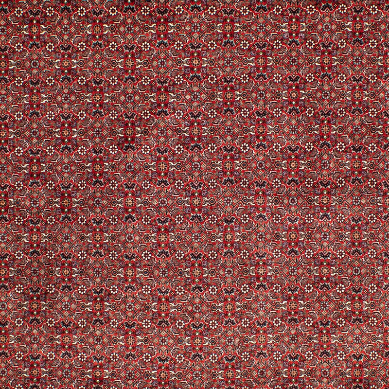 Alfombra persa - Bidjar - 302 x 210 cm - rojo oscuro