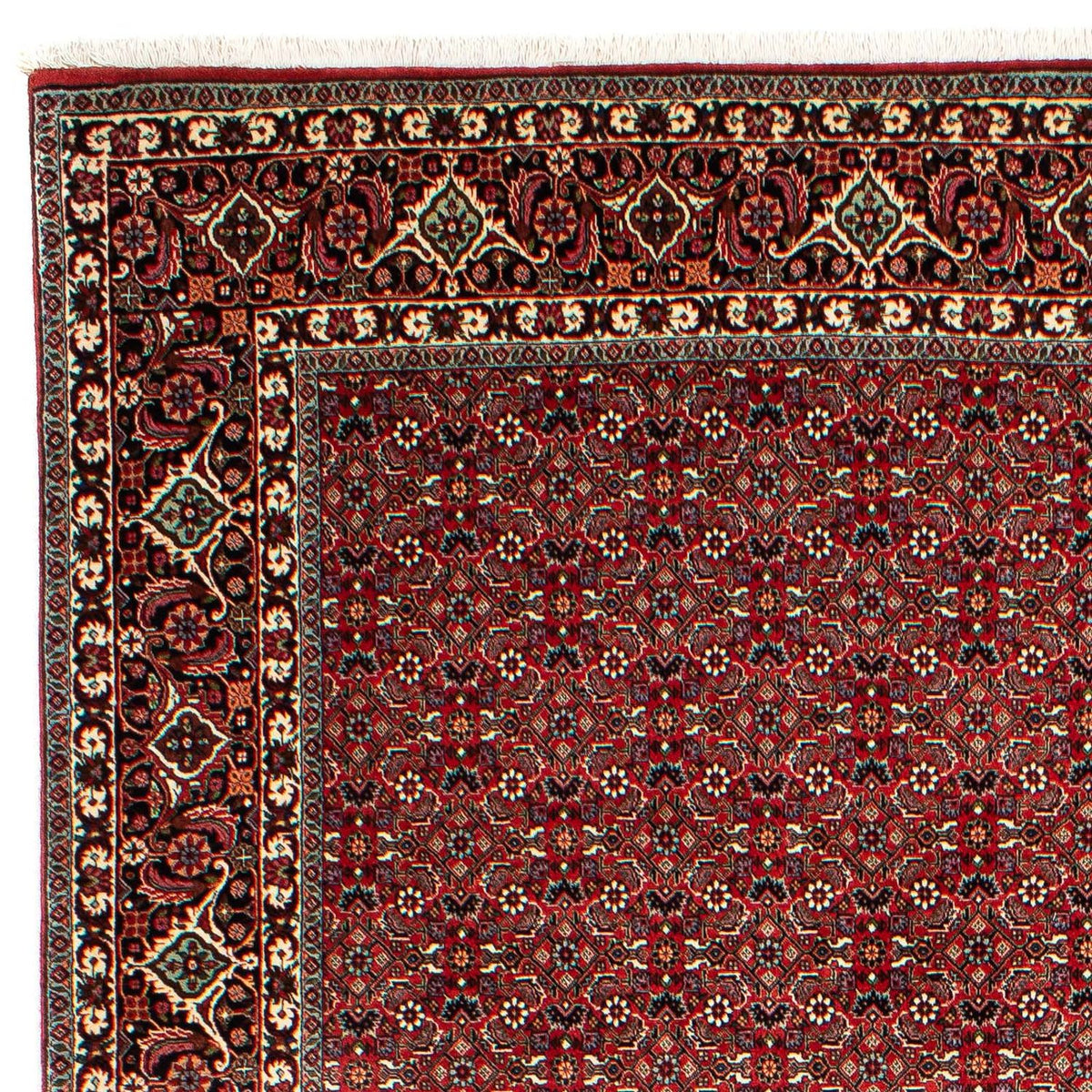 Bidjar Alfombra 210x302cm - Alfombra persa