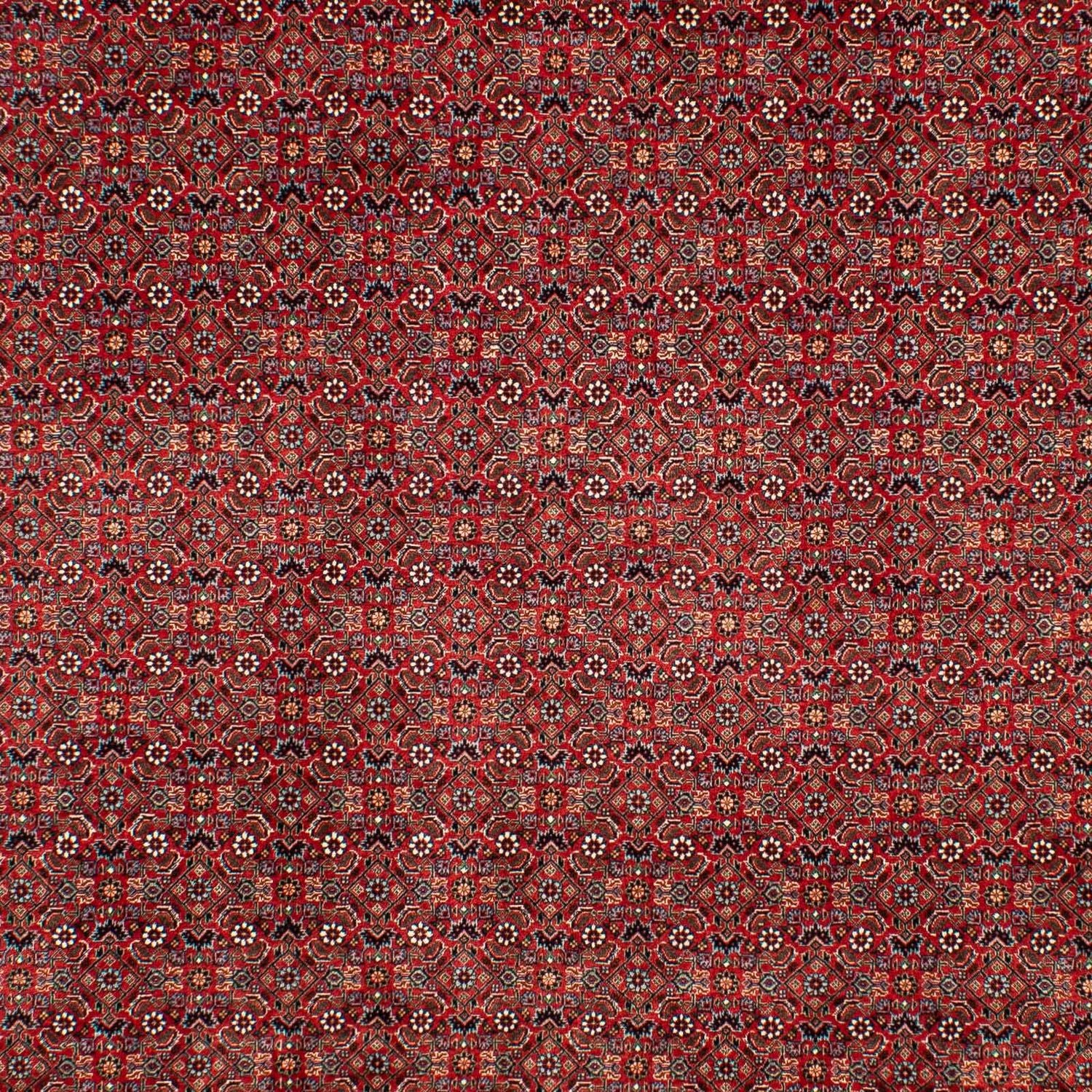 Alfombra persa - Bidjar - 298 x 205 cm - rojo oscuro