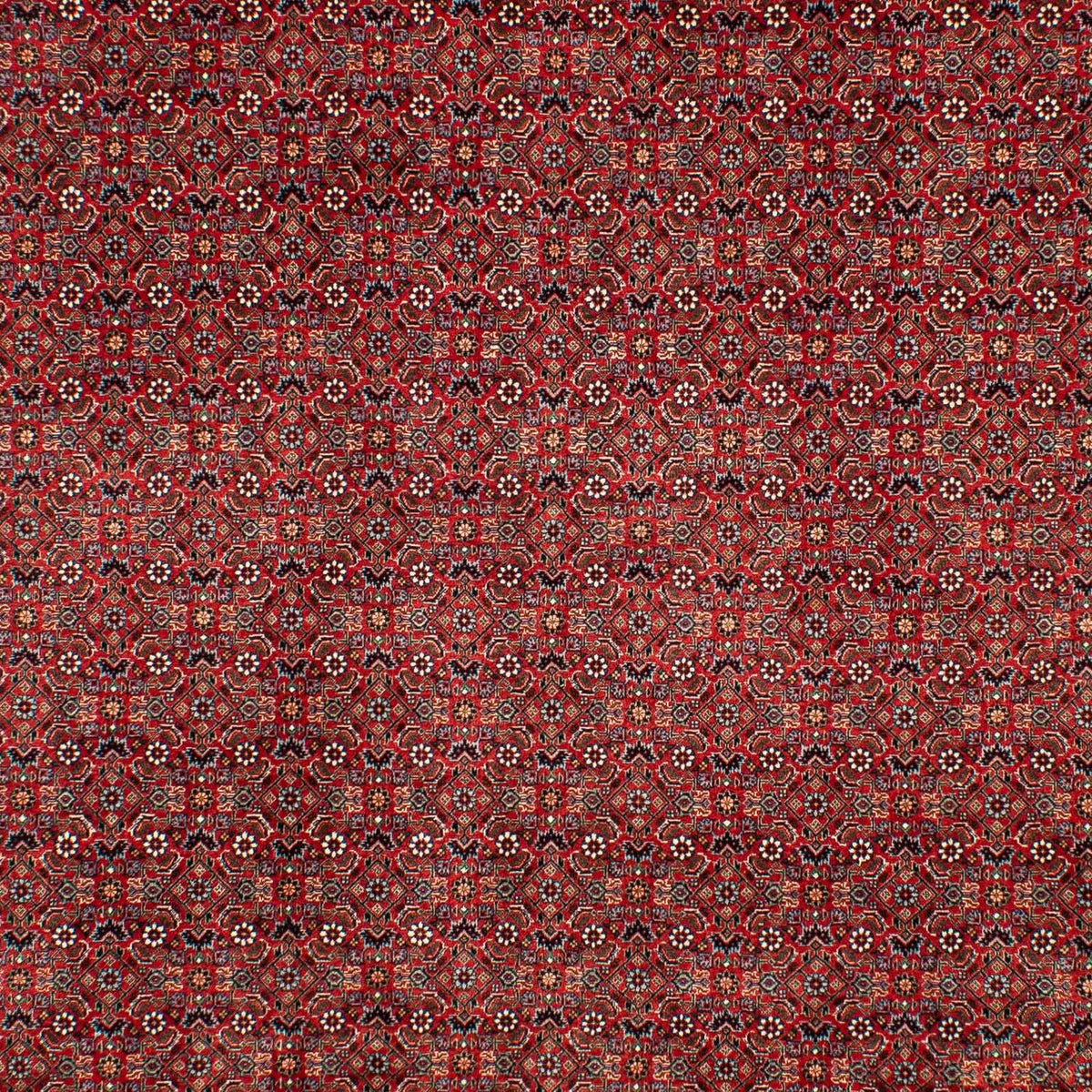 Alfombra persa - Bidjar - 298 x 205 cm - rojo oscuro