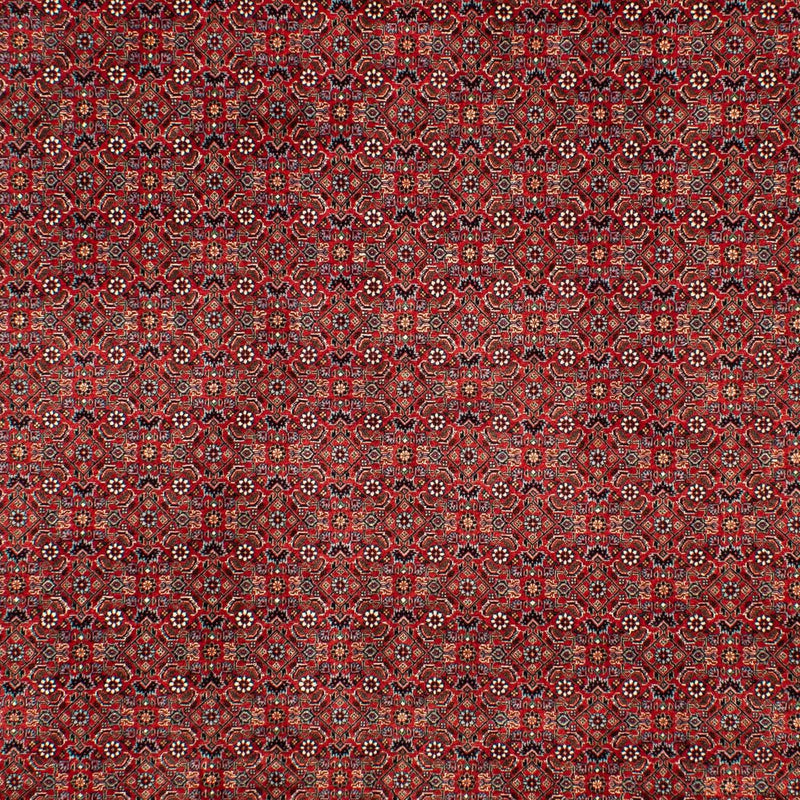 Alfombra persa - Bidjar - 298 x 205 cm - rojo oscuro