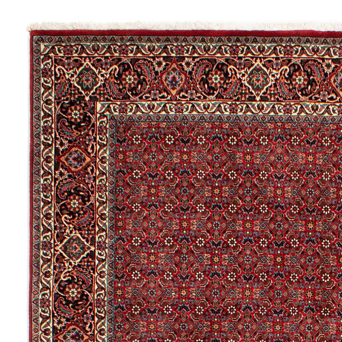 Bidjar Alfombra 205x298cm - Alfombra persa