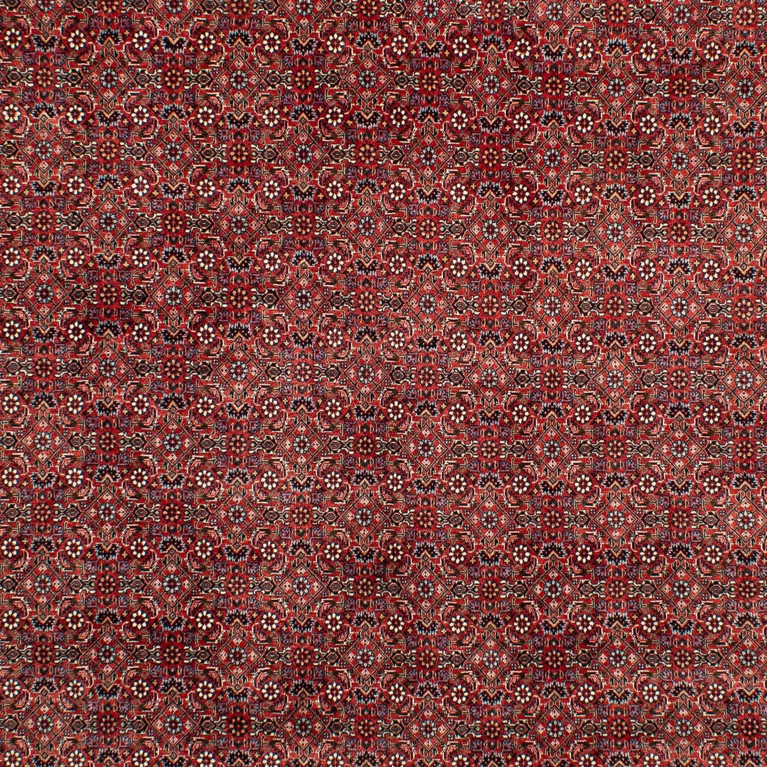 Alfombra persa - Bidjar - 299 x 202 cm - rojo oscuro