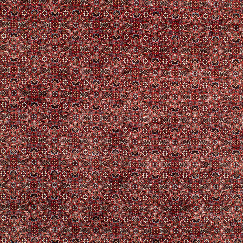 Alfombra persa - Bidjar - 299 x 202 cm - rojo oscuro