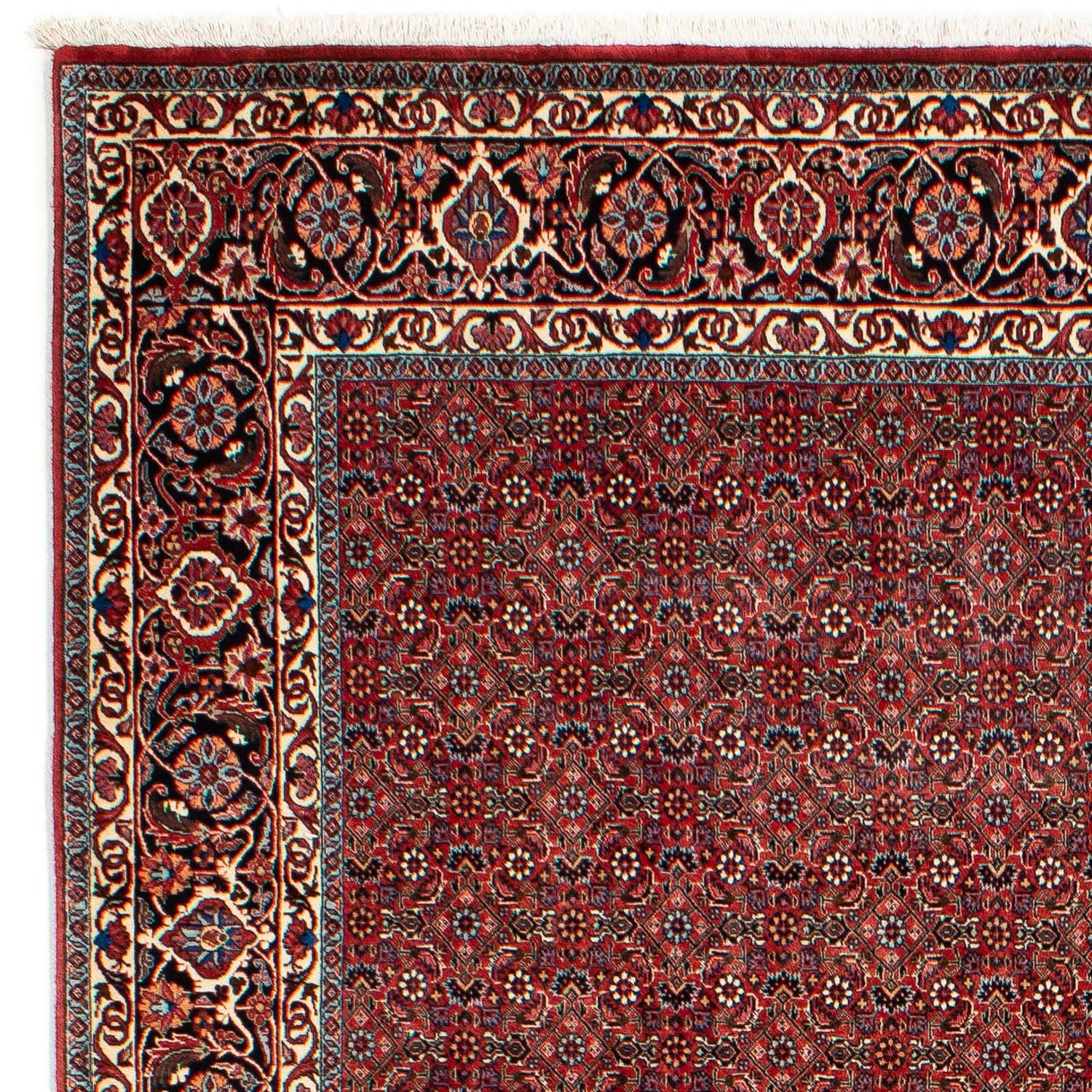 Alfombra persa - Bidjar - 299 x 202 cm - rojo oscuro