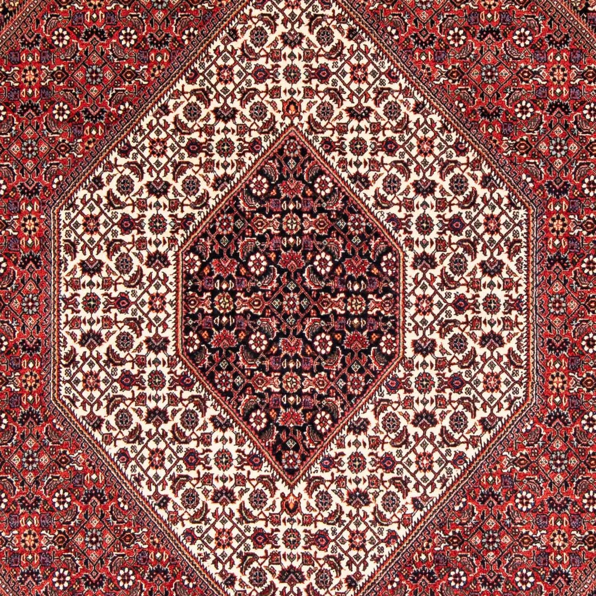 Alfombra persa - Bidjar - 236 x 169 cm - rojo oscuro