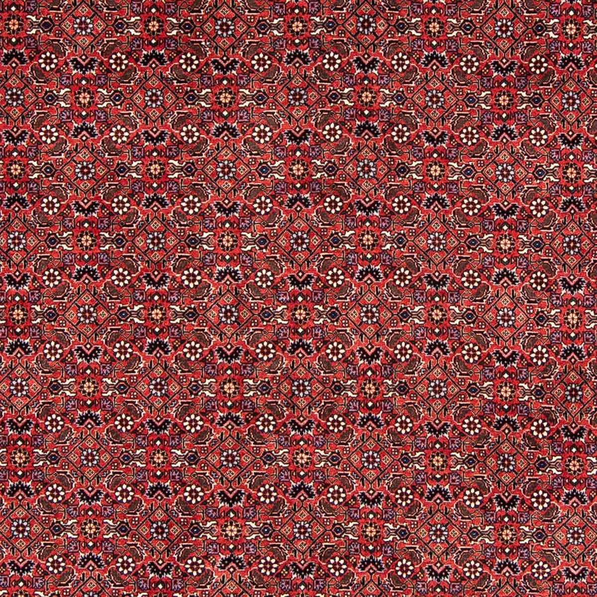 Alfombra persa - Bidjar - 243 x 173 cm - rojo oscuro