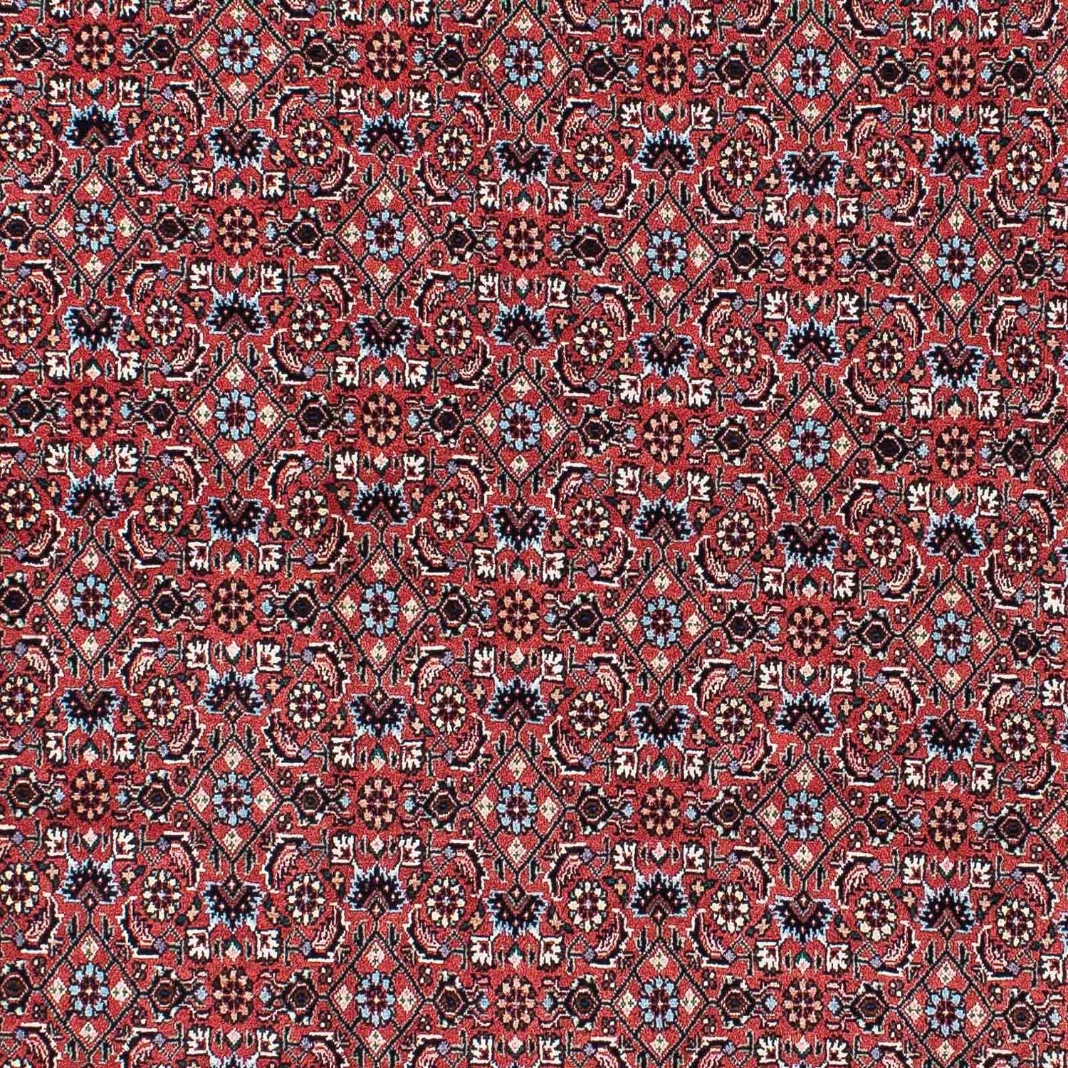 Alfombra persa - Bidjar - 213 x 133 cm - rojo claro