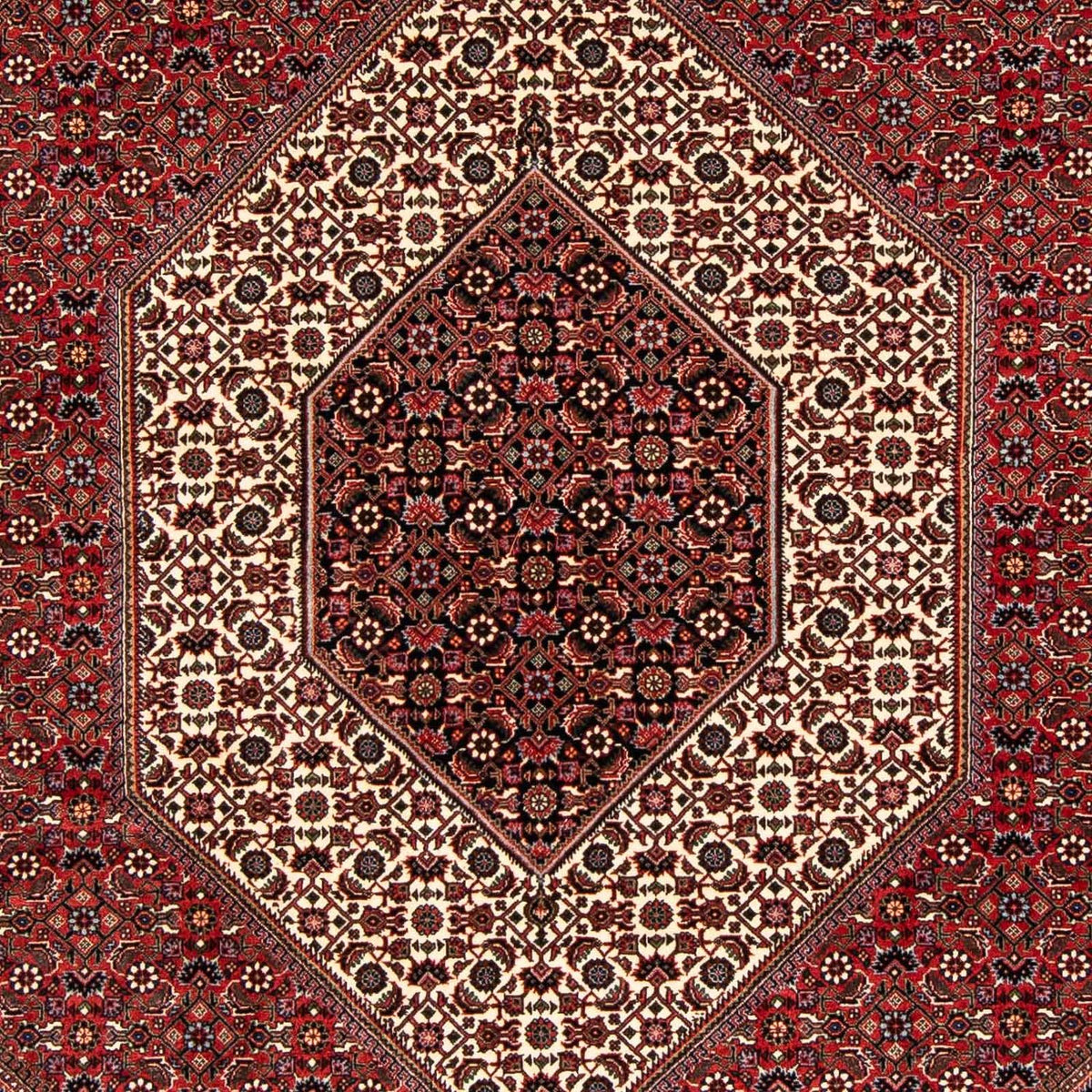 Alfombra persa - Bidjar - 238 x 175 cm - rojo oscuro