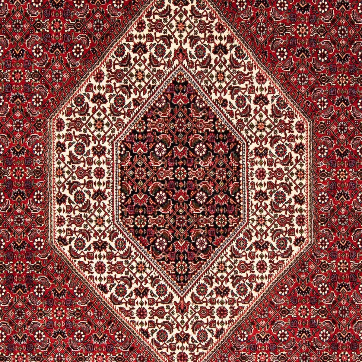 Alfombra persa - Bidjar - 246 x 170 cm - rojo oscuro