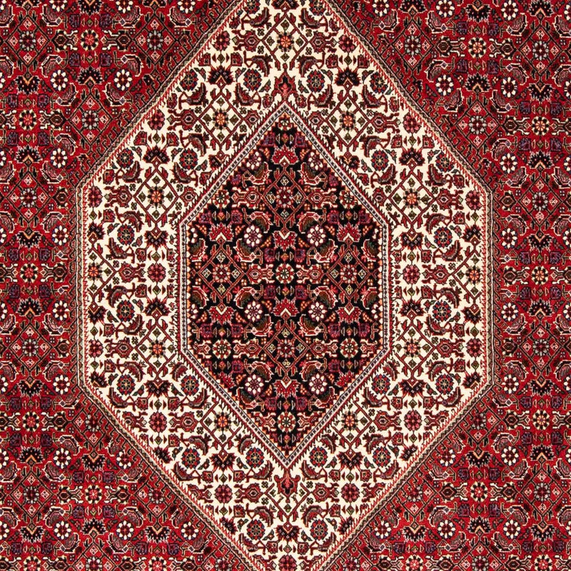 Alfombra persa - Bidjar - 246 x 170 cm - rojo oscuro
