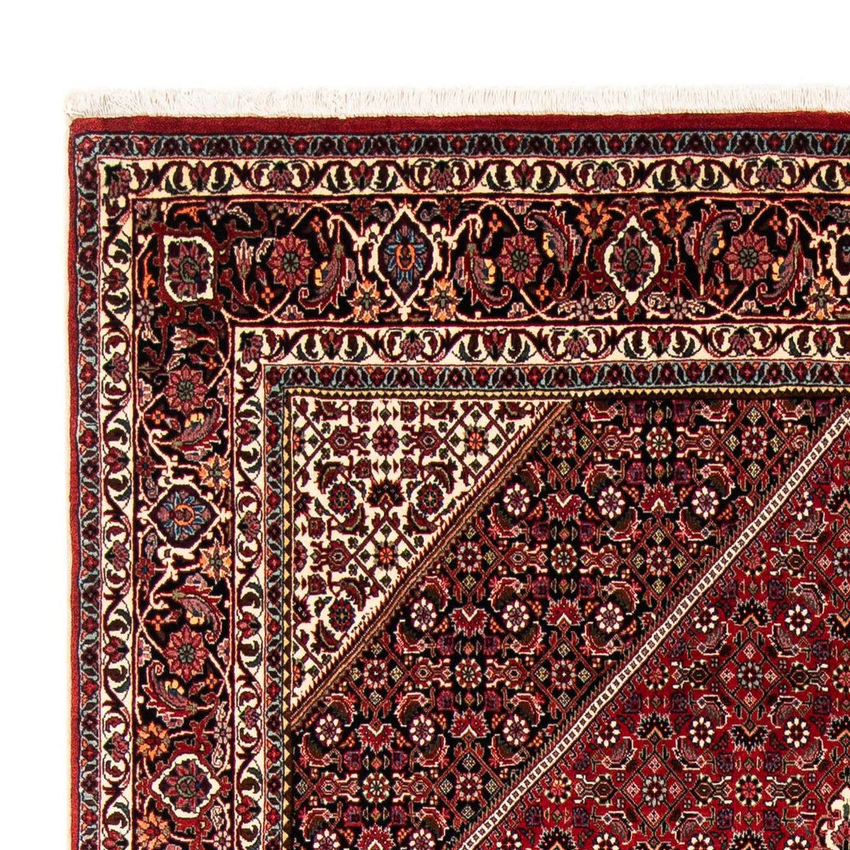 Alfombra persa - Bidjar - 246 x 170 cm - rojo oscuro