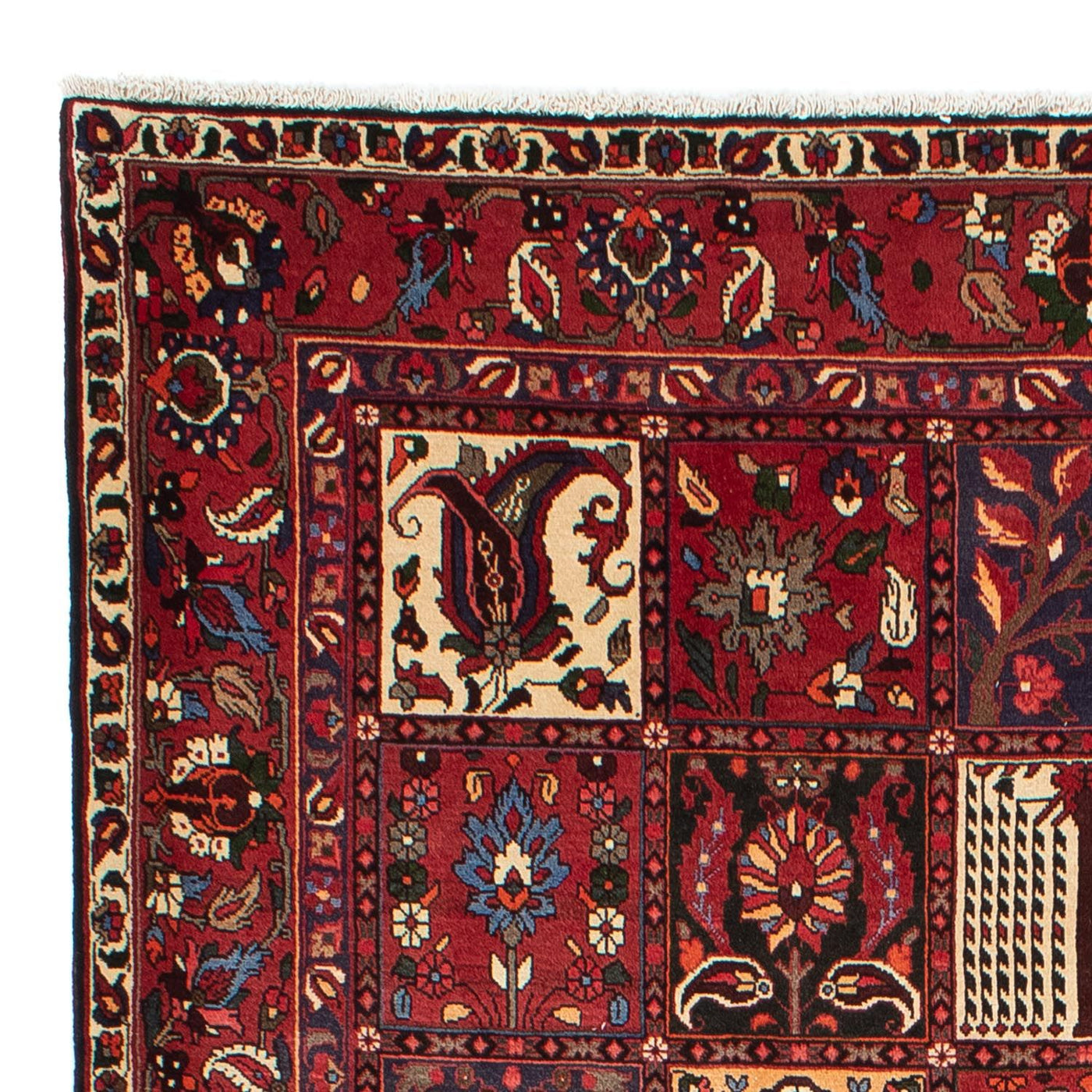 Bakhtiari Alfombra 310x210cm - Alfombra persa