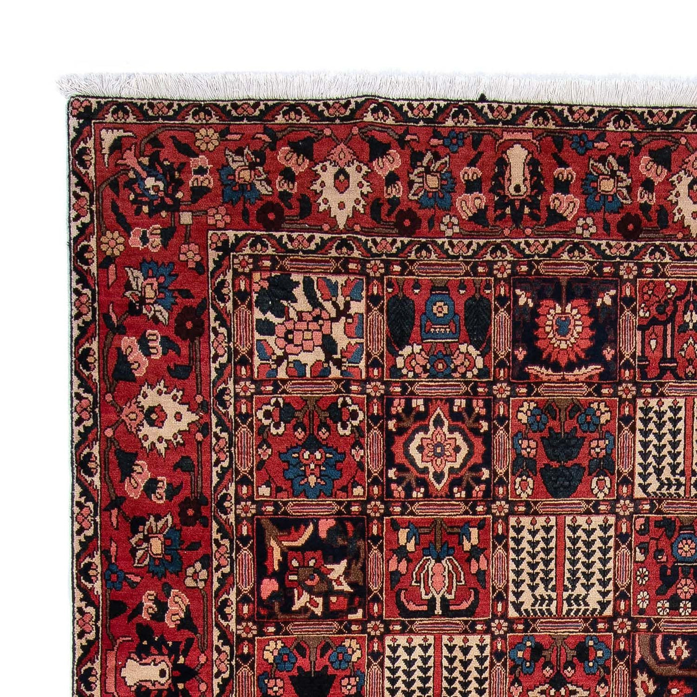 Bakhtiari Alfombra 360x257cm - Alfombra persa