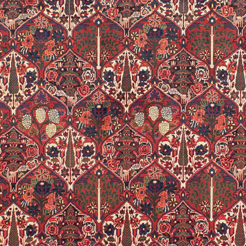 Alfombra persa - Nómada - 323 x 210 cm - rojo oscuro