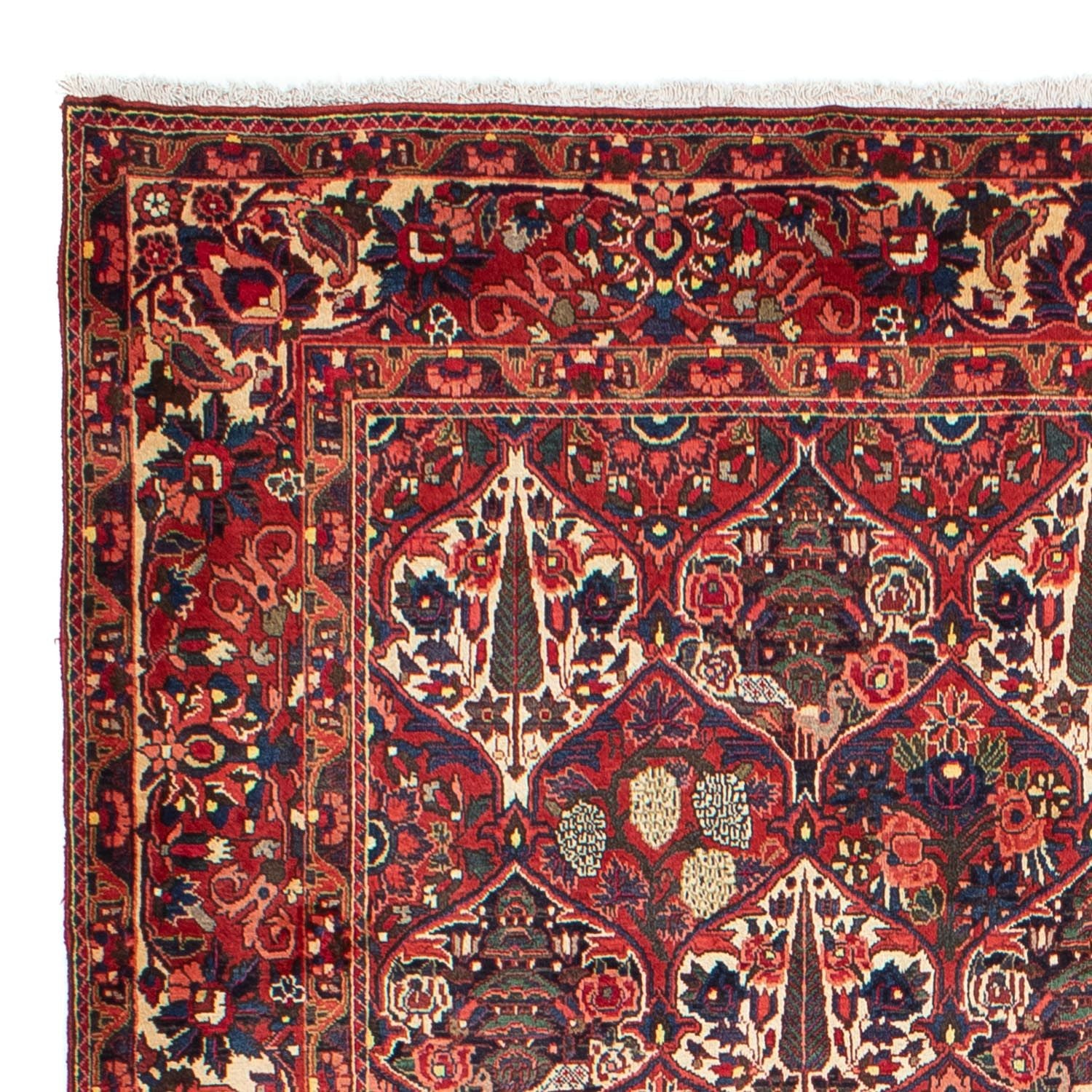 Alfombra persa - Nómada - 323 x 210 cm - rojo oscuro