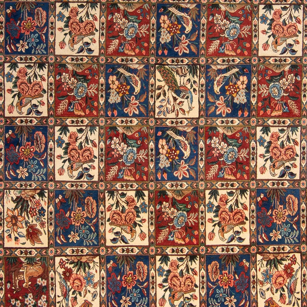 Alfombra persa - Nómada - 350 x 244 cm - beige