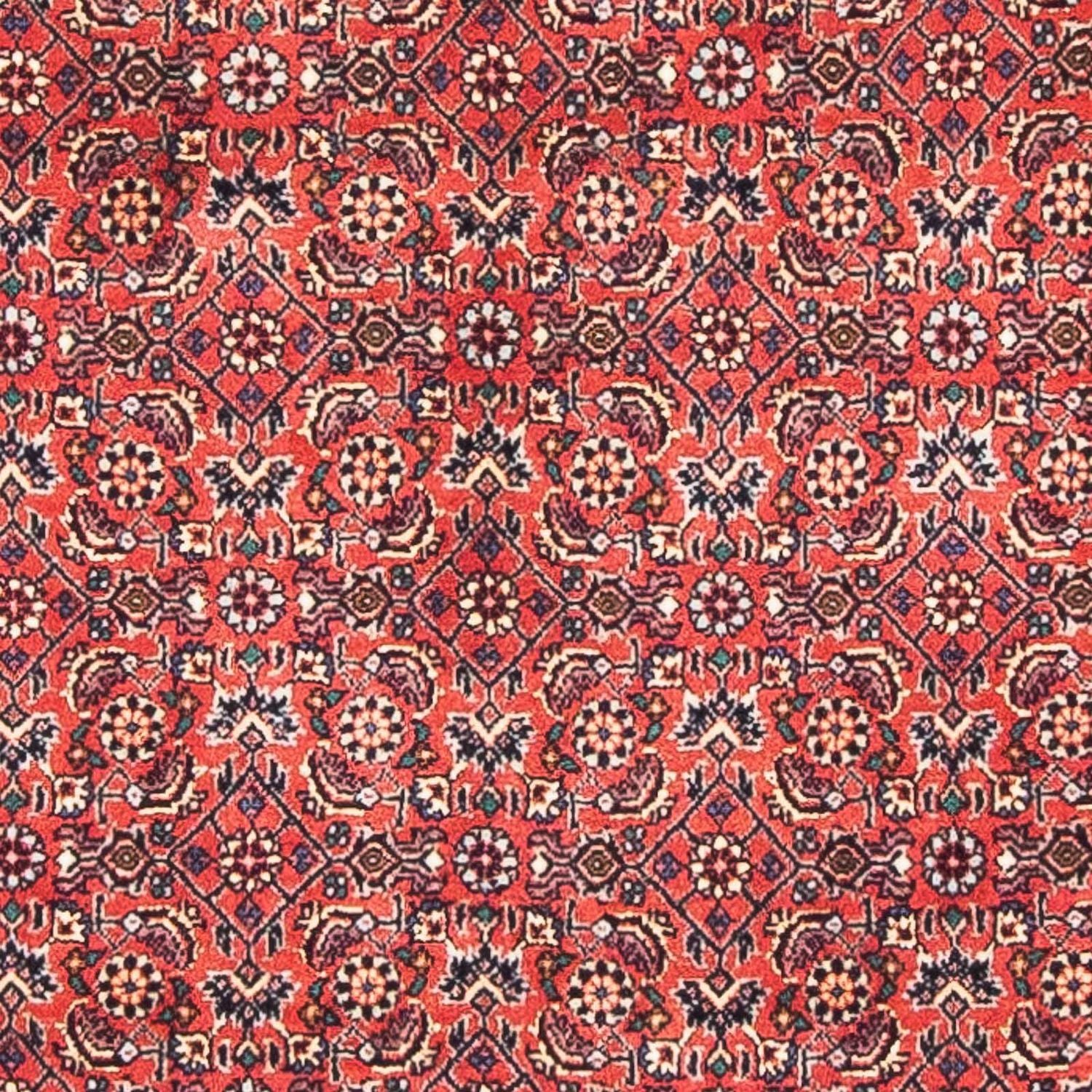 Alfombra persa - Bidjar - 138 x 84 cm - rojo