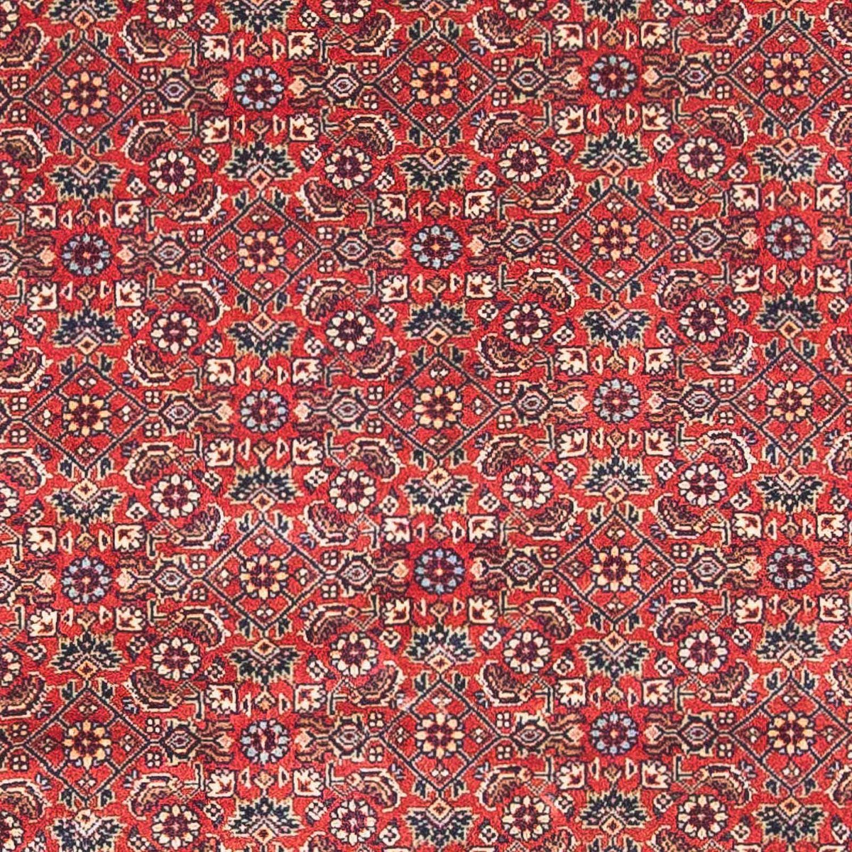 Alfombra persa - Bidjar - 162 x 89 cm - rojo