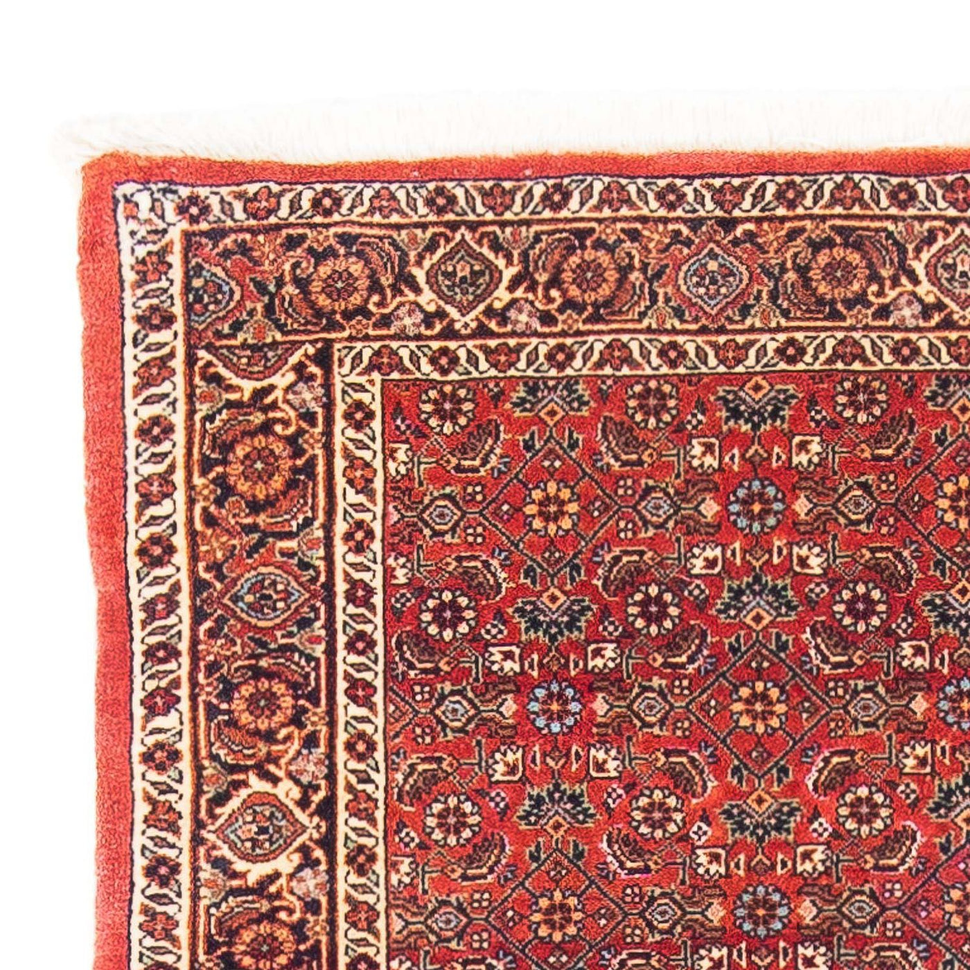 Bidjar Alfombra 162x89cm - Alfombra persa