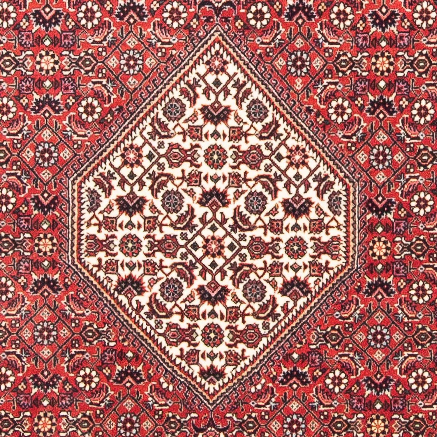 Alfombra persa - Bidjar cuadrado  - 112 x 100 cm - rojo