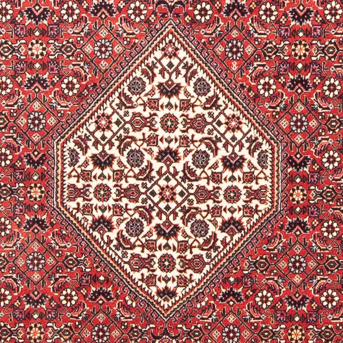 Alfombra persa - Bidjar cuadrado  - 112 x 100 cm - rojo