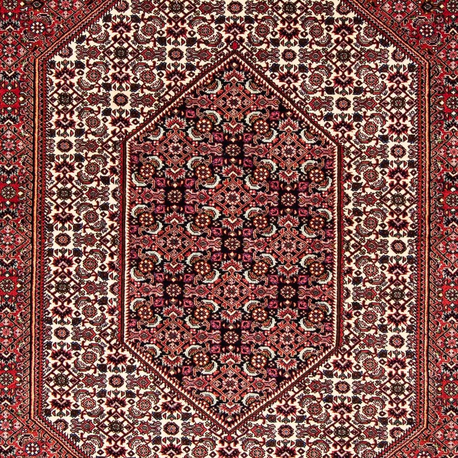 Alfombra persa - Bidjar - 255 x 153 cm - rojo oscuro