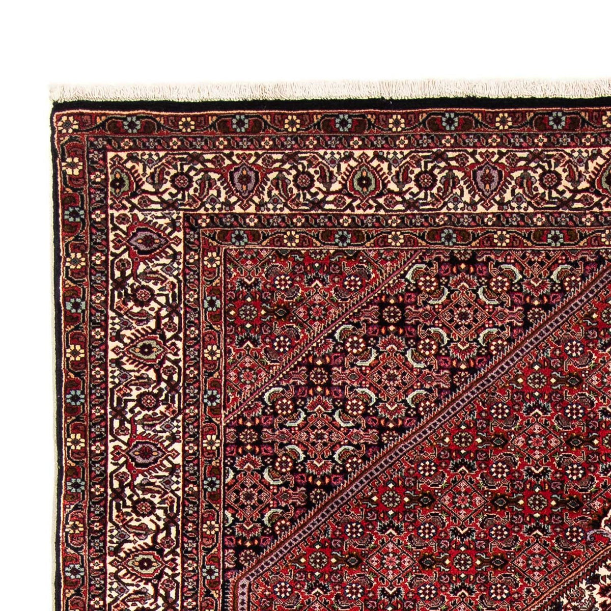 Bidjar Alfombra 153x255cm - Alfombra persa
