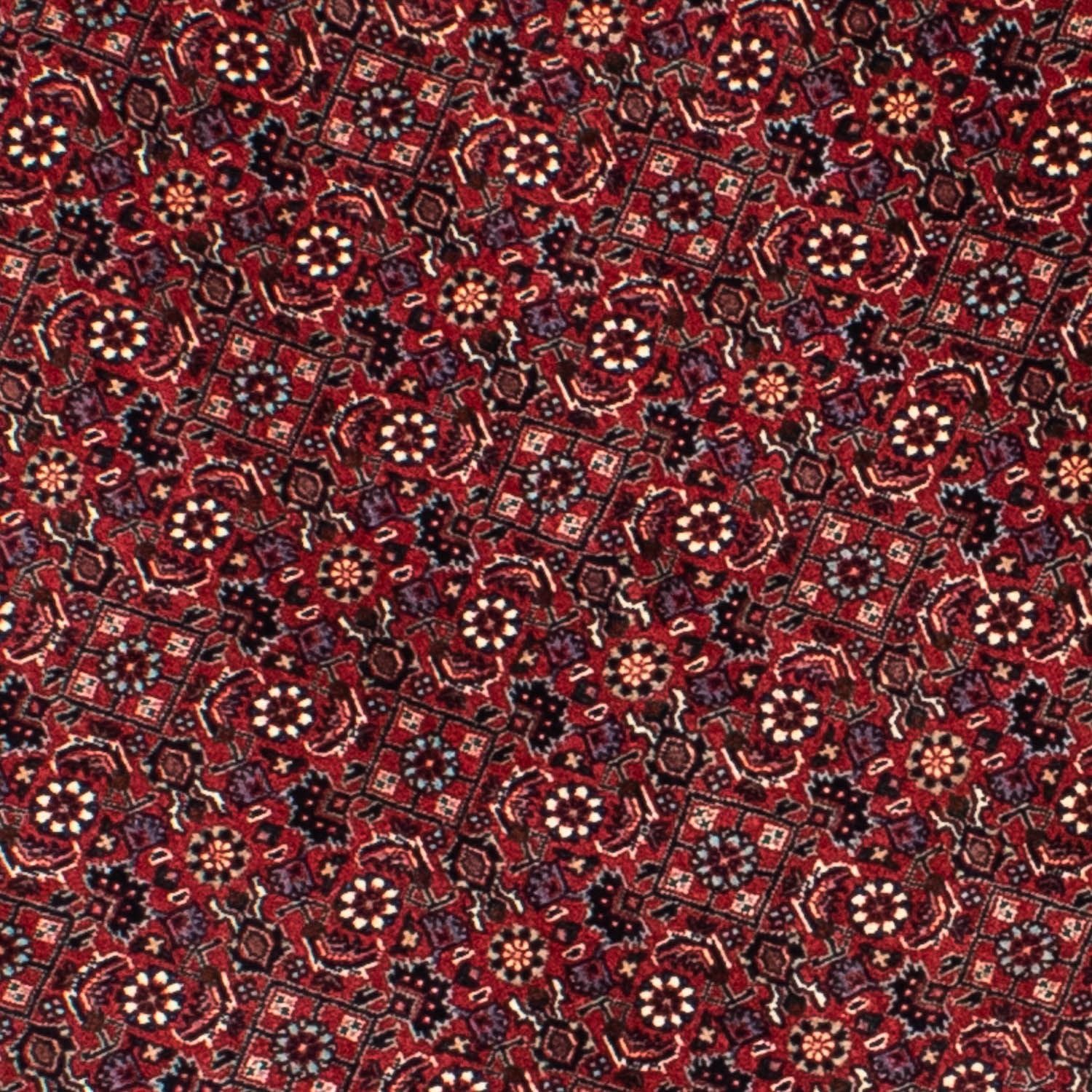 Alfombra persa - Bidjar redondo  - 155 x 155 cm - rojo oscuro