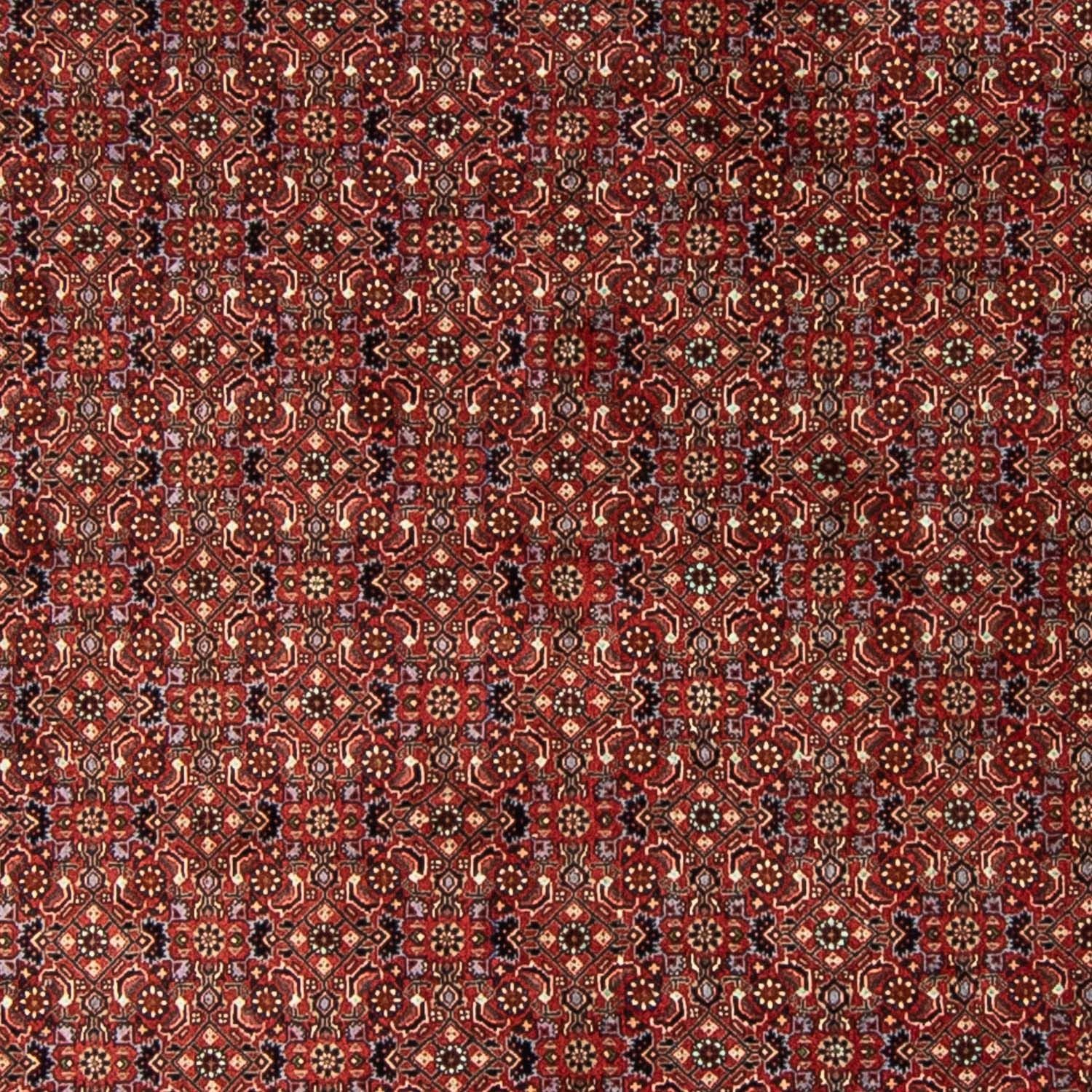 Alfombra persa - Bidjar redondo  - 250 x 250 cm - rojo oscuro