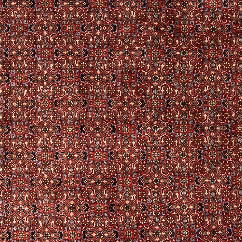 Alfombra persa - Bidjar redondo  - 250 x 250 cm - rojo oscuro