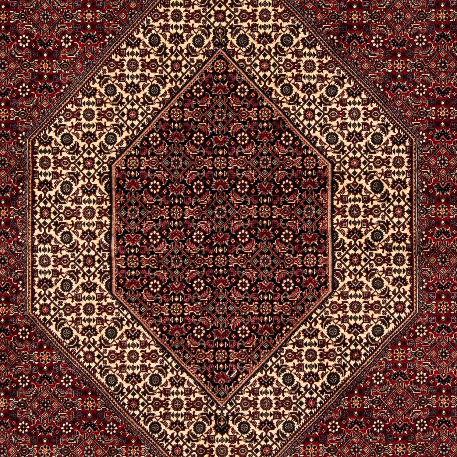 Alfombra persa - Bidjar - 254 x 205 cm - rojo oscuro