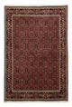 Bidjar Alfombra 172x246cm - Alfombra persa