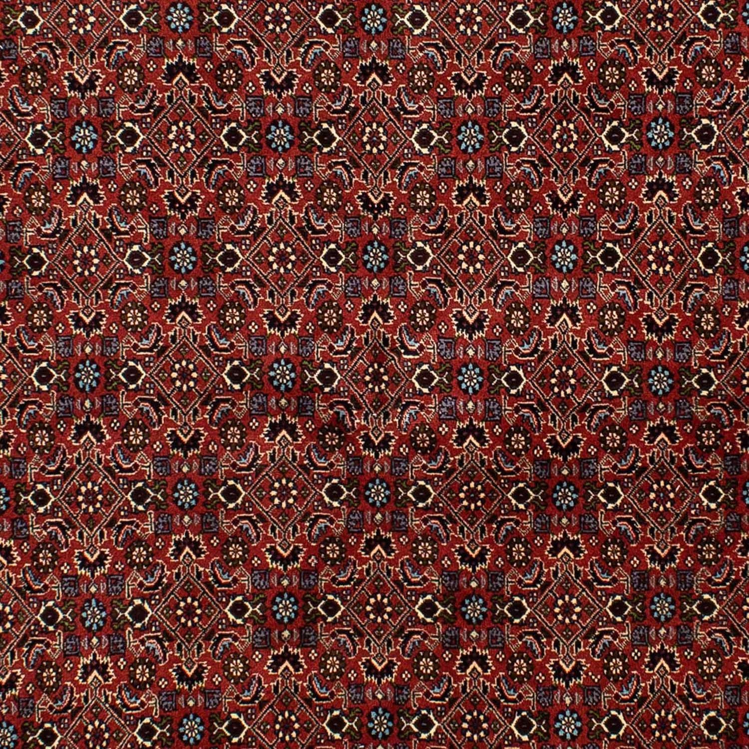 Alfombra persa - Bidjar - 246 x 172 cm - rojo oscuro