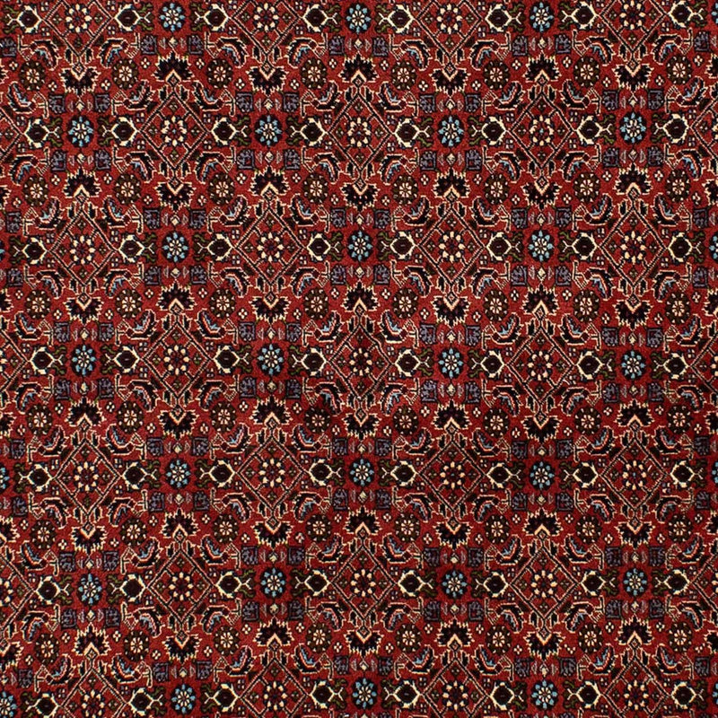 Alfombra persa - Bidjar - 246 x 172 cm - rojo oscuro