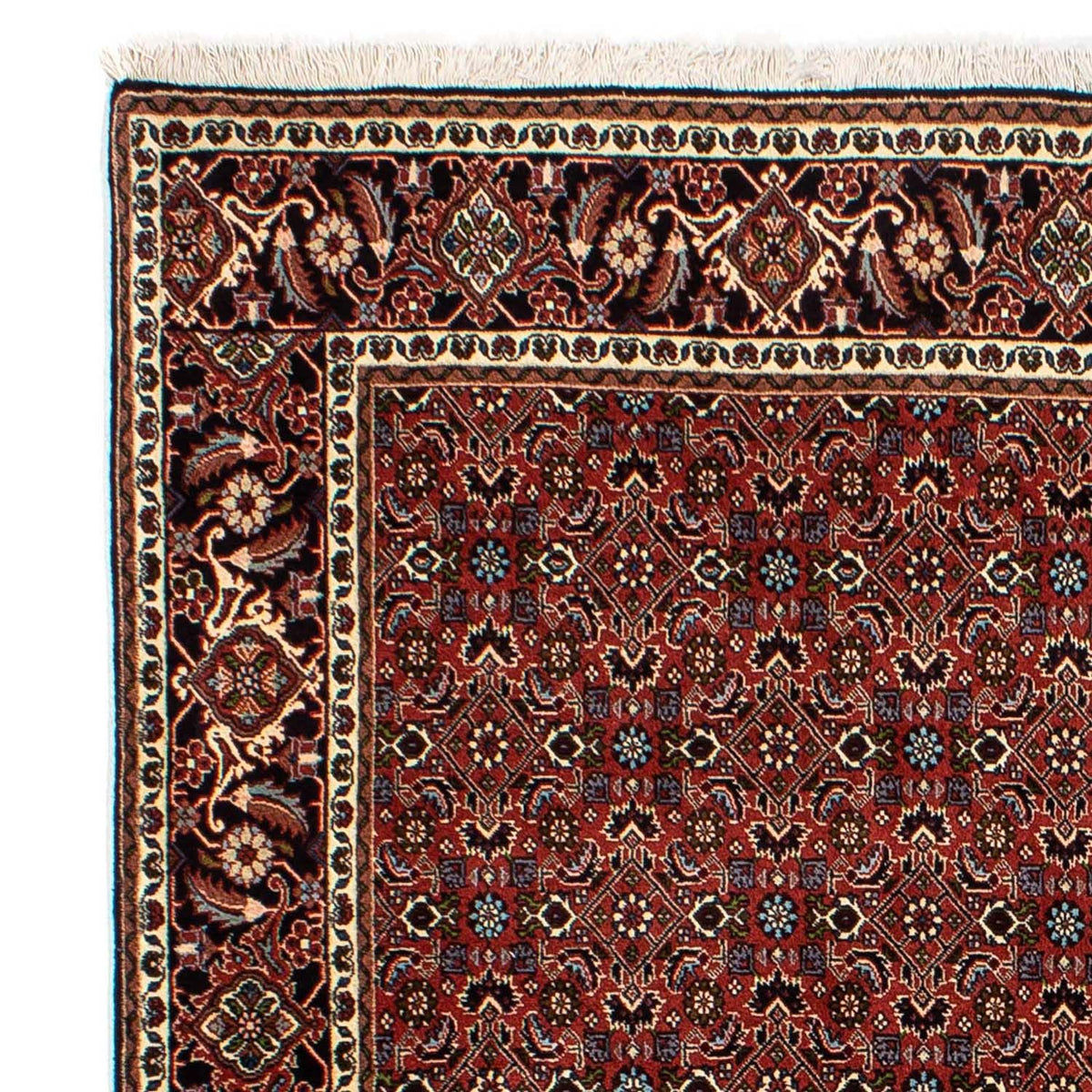 Alfombra persa - Bidjar - 246 x 172 cm - rojo oscuro
