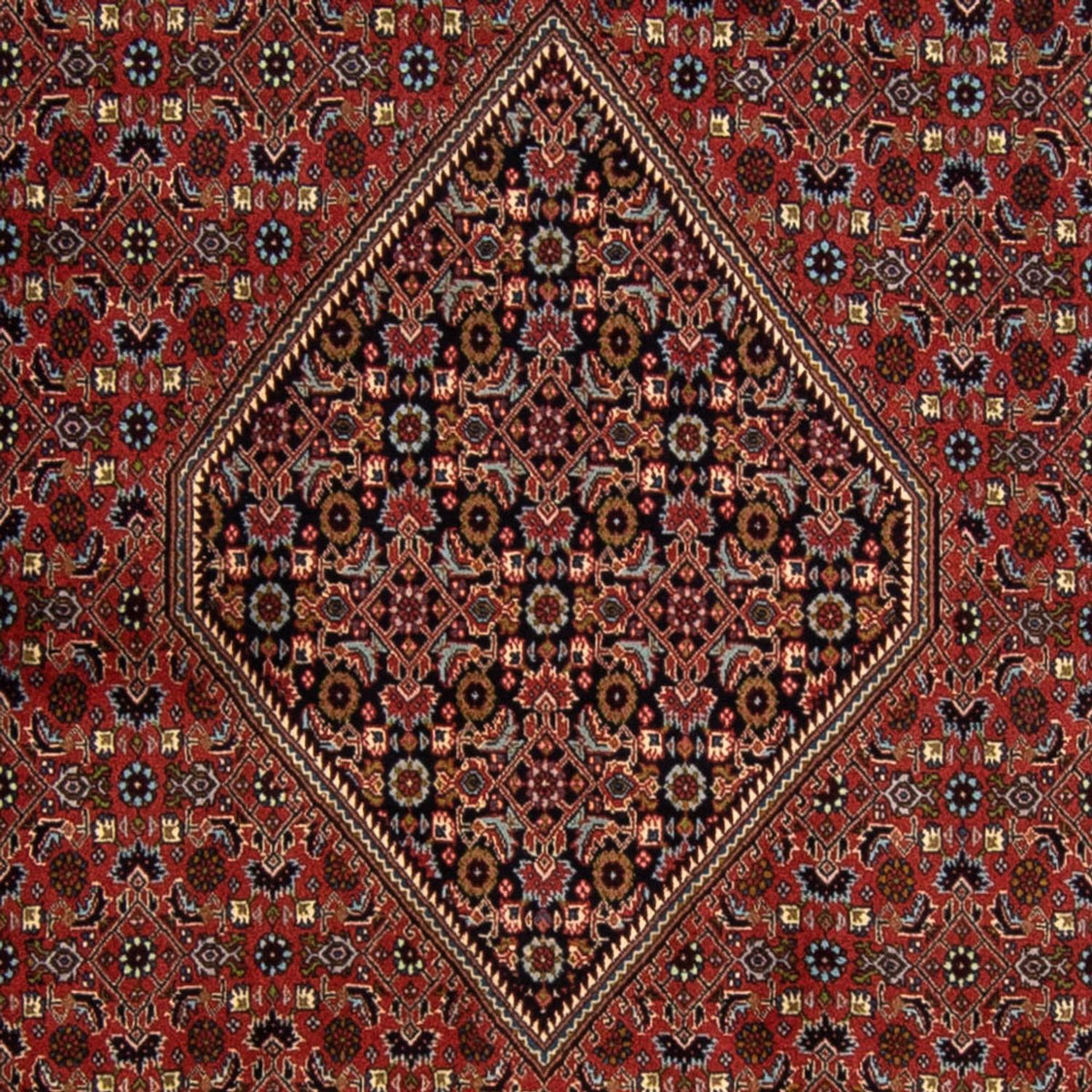 Alfombra persa - Bidjar - 337 x 250 cm - rojo oscuro