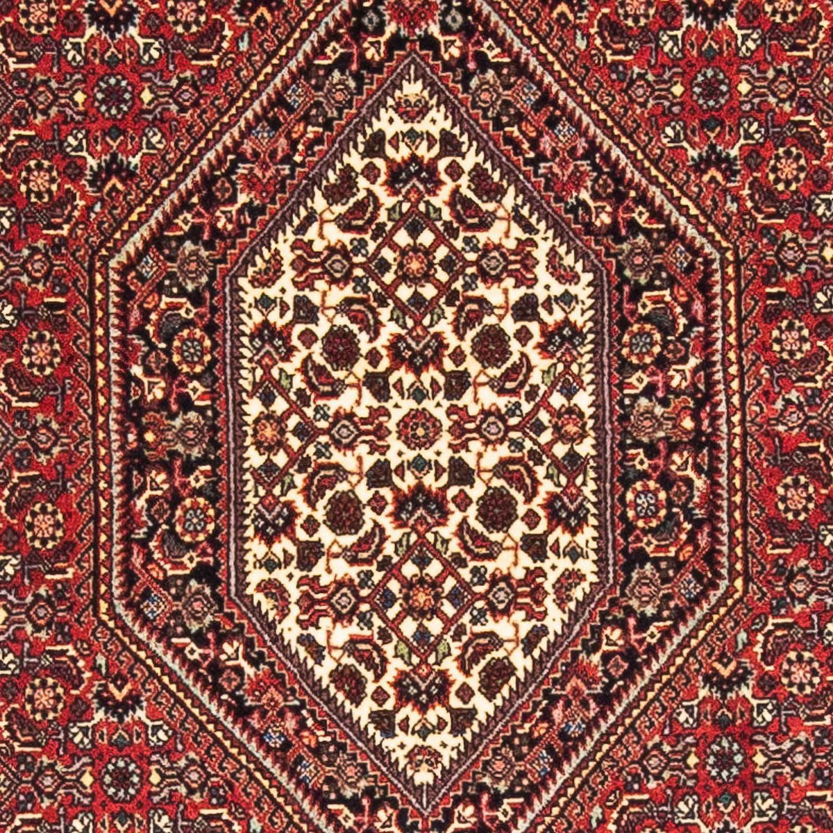 Alfombra persa - Bidjar - 153 x 89 cm - rojo