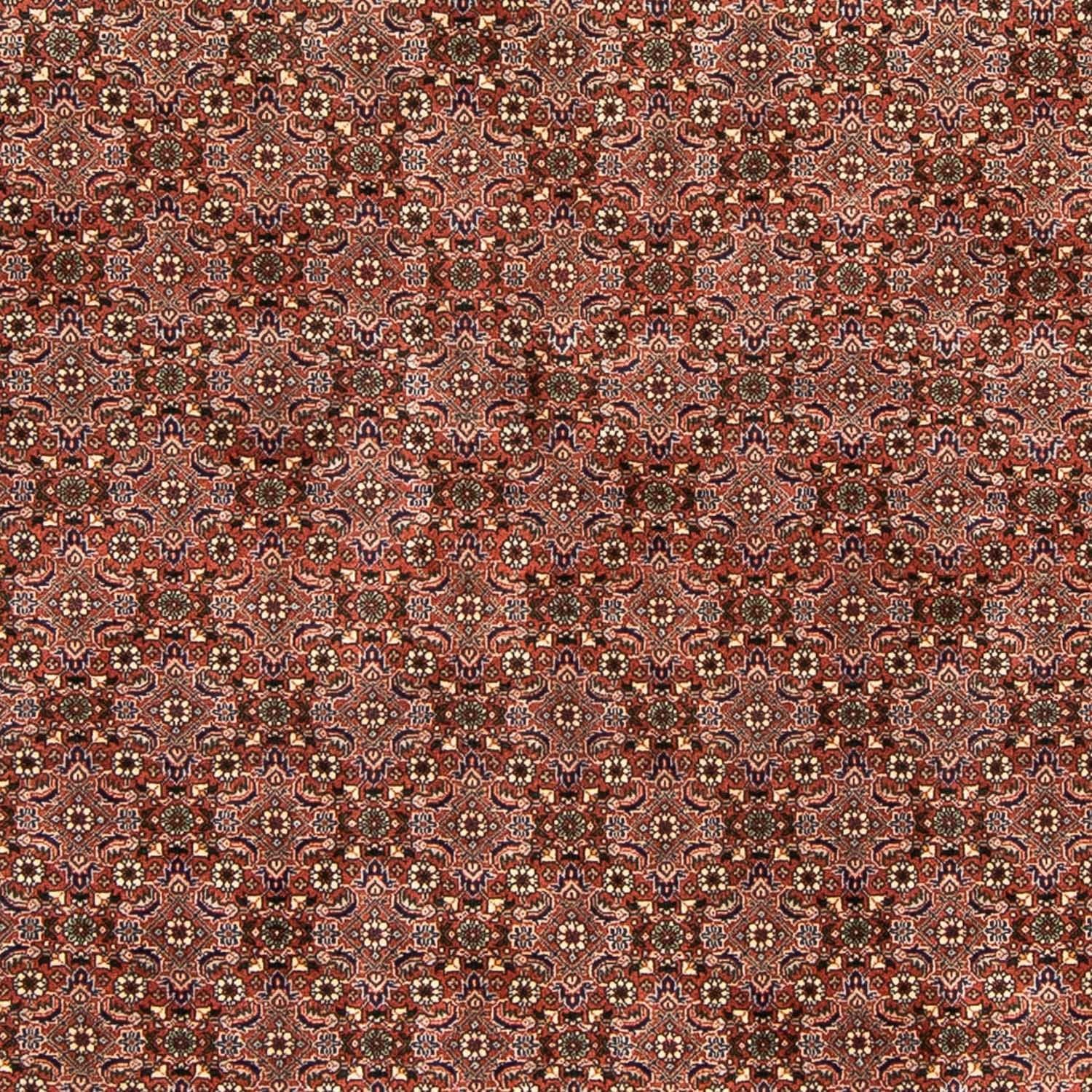 Alfombra persa - Bidjar - 235 x 167 cm - rojo claro